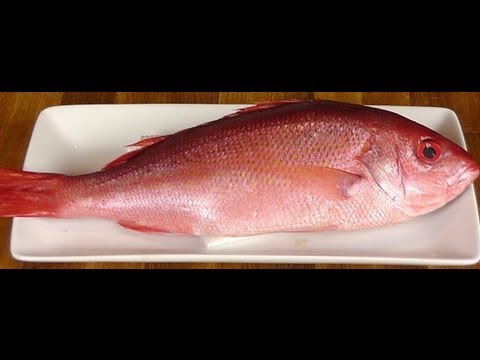 how to know fresh fish