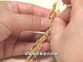 歡喜有緣福慧紅包   (2009年全球慈濟歲末祝福活動指定使用版本).mov