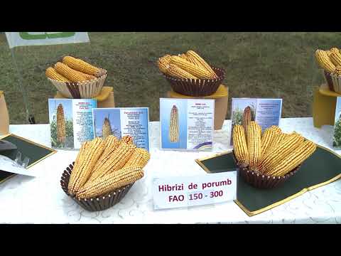 Șeful statului întreprinde o vizită de lucru în raionul Criuleni