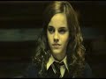 Ron/Hermione-Rosas
