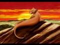 Nala big tribute