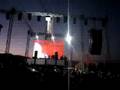 Tiesto papaya 8 dio