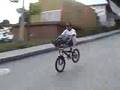 videos de ciclas