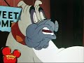 Pluto trova un amico