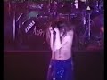Korn 