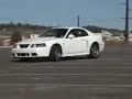 Supra Waxing A Cobra