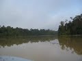 Borneo 2009 074.avi