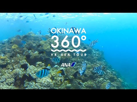OKINAWA 360° -VR SEA TOUR-（沖縄） - YouTube