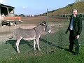 ALFONSO E L\