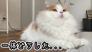 相談12405に関連する動画