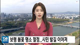 [0414 TJB 뉴스] 보령 봄꽃 명소 절정.. 시민 발길 이어져
