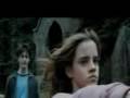 Harry And Hermione - This Christmas