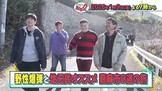 動画のサムネイル