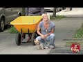 JustForLaughsTV - Doggy In Sewer Prank