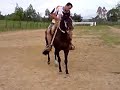 cavalo crioulo (bt niquel )