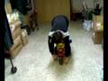videos de 22112008097.mp4