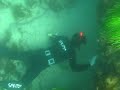 Rosie Wrangles A Cuttlefish Bare Handed