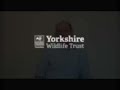 Rob Stoneman: The Wildlife Trusts Centenary