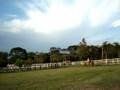 Sthill cavalo ensinado