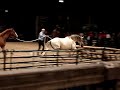 Parelli Natural Horsemanship NEC UK 2008