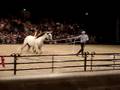 Parelli Natural Horsemanship NEC UK 2008