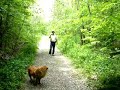 an abandoned rail line tunnel in athens county ohio on the same line
as the moonville tunnel.this is more spooky.my freind gregg says he does
not want to visit the tunnel,he thinks it will collapse.