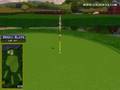 Golden Tee Great Shot on Woodland Farm!