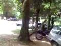 videos de Cacatu