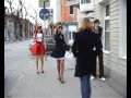 Suzumiya fan-clips