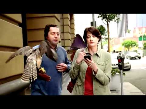state farm falcon state farm falcon