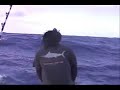 Deep Sea Fishing in Hawaii Deep Sea Fishing in Hawaii