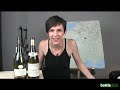 Knackiger Wein aus der AOC Chablis!!!