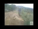 Retes baja de Zarzalejo a Robledo Retes baja de Zarzalejo a Robledo