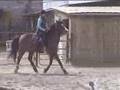 Natalia riding my horse - Zefir