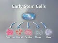 Stem Cell Research Documentary Stem Cell Research