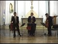 Pachelbel Canon - Trio de Guitarras Domine