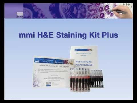 how to perform h&e staining