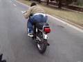 Assistir ao v�deo