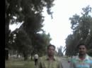 PAU , Ludhiana
