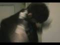 videos de Kebabu boba