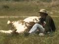 Viggo and Sheryl Crow speaks out for the horses