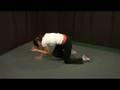 Abdominal Exercises : Abdominal Exercises: Quadruped Extension