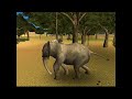 game,hunting,video