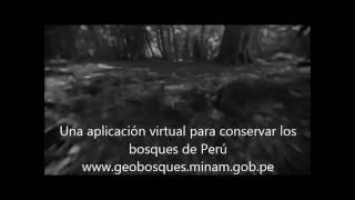 Perú cuida sus bosques mediante una plataforma virtual