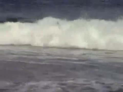 Some Tasmanian Bodyboarding