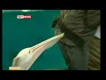 Pelican Attacks Aussie Weatherman/Reporter – Live TV Blooper
