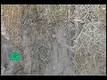 Straw Bale House
