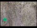 Straw Bale House