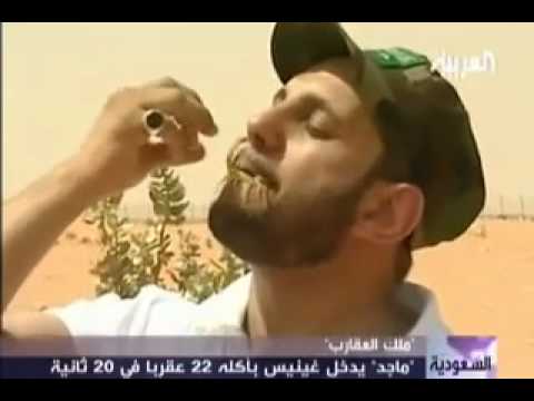 ماجد المالكي سعودي يأكل 22 عقرب