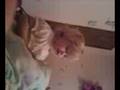 videos de Night Night mommy